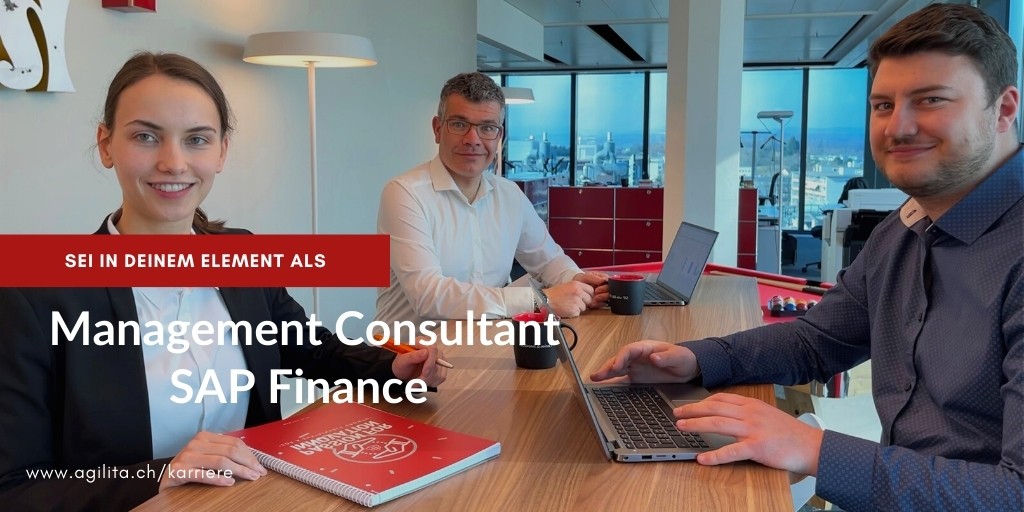 Management Consultant Finance