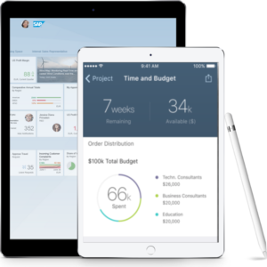 AGIL Professional Services SAP Qualified Partner Package Solution